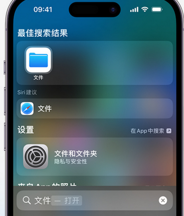 寿县apple维修中心分享iPhone文件应用中存储和找到下载文件