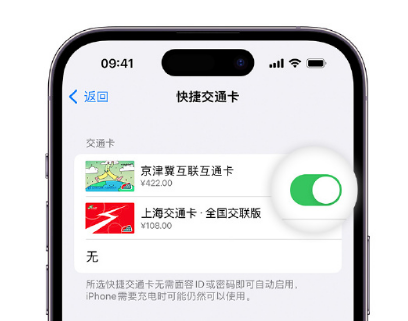 寿县apple维修点分享iPhone上更换Apple Pay快捷交通卡手绘卡面 