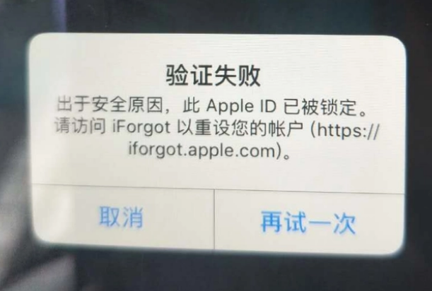 寿县iPhone维修分享iPhone上正常登录或使用AppleID怎么办 