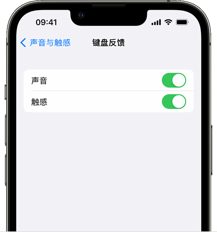 寿县苹果14维修店分享如何在 iPhone 14 机型中使用触感键盘 