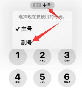 寿县苹果14维修店分享iPhone 14 Pro Max使用副卡打电话的方法 