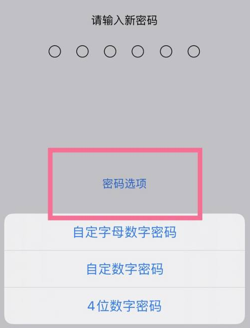 寿县苹果14维修分享iPhone 14plus设置密码的方法 