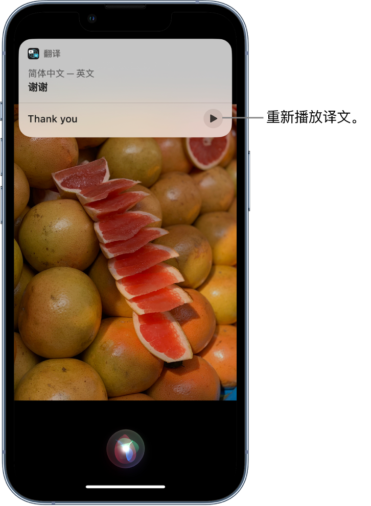 寿县苹果14维修分享 iPhone 14 机型中使用 Siri：了解 Siri 能帮你做什么 