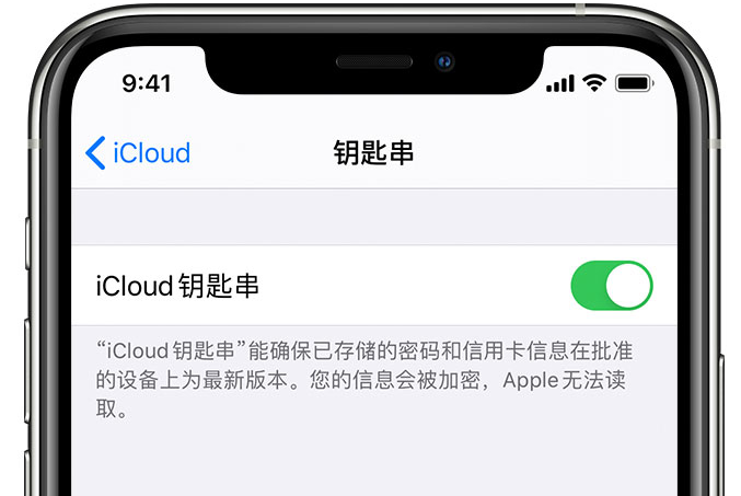 寿县苹果手机维修分享在 iPhone 上开启 iCloud 钥匙串之后会储存哪些信息 