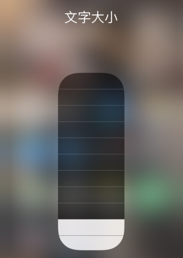 寿县苹果手机维修分享小技巧：在 iPhone 控制中心快速调节字体大小 