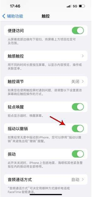 寿县苹果手机维修分享iPhone手机如何设置摇一摇删除文字 